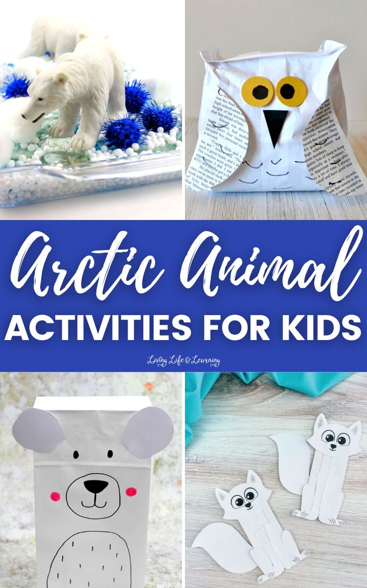 Arctic Animal Activities for Kids