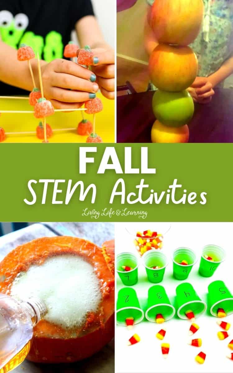 Fall STEM Activities