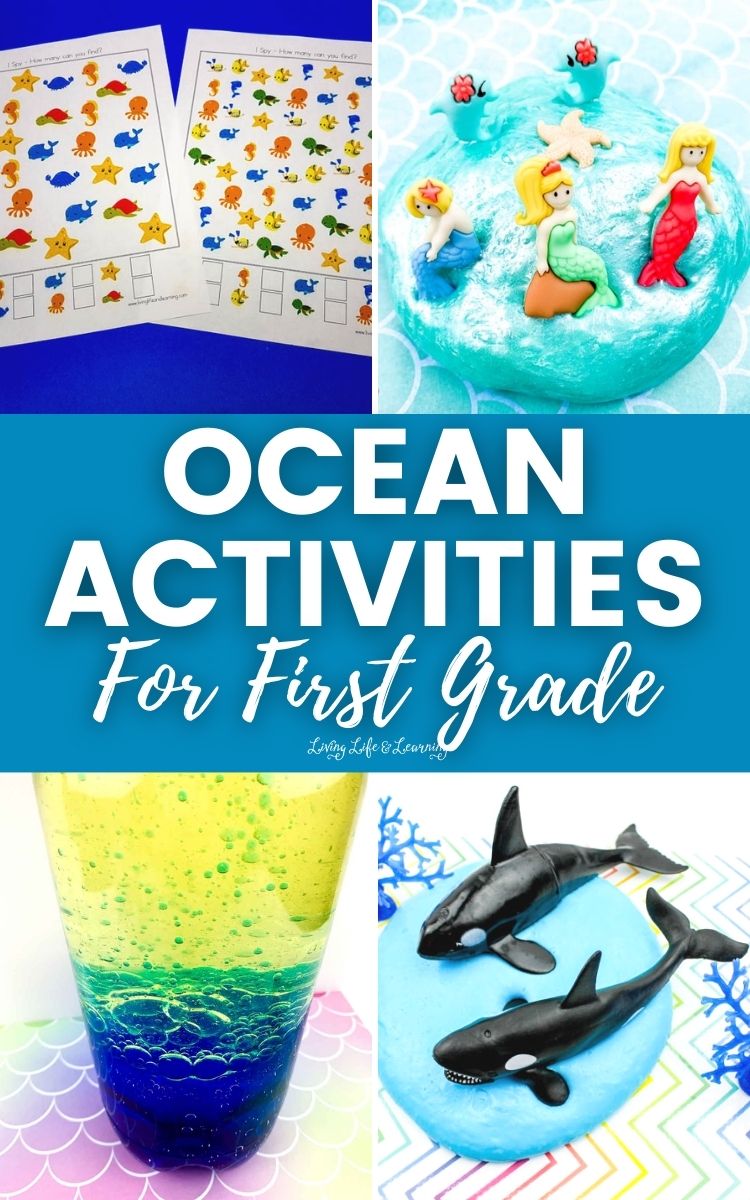 Ocean Activities for First Grade
