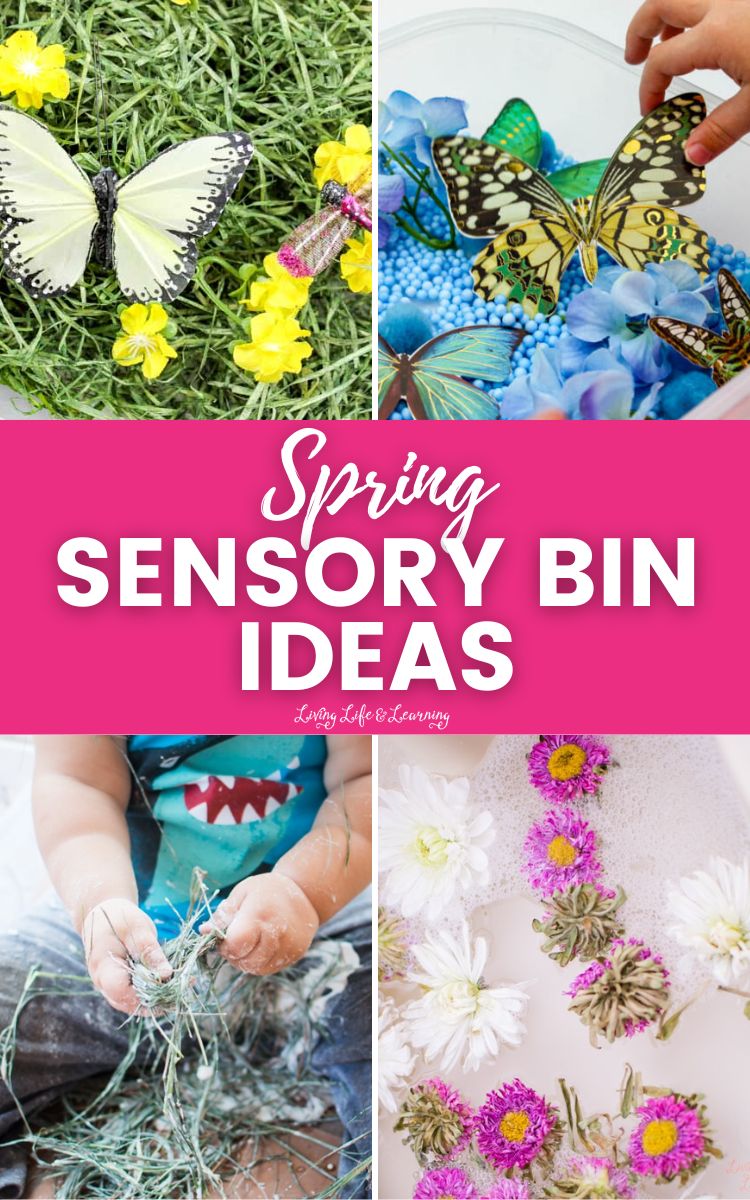 Spring Sensory Bin Ideas