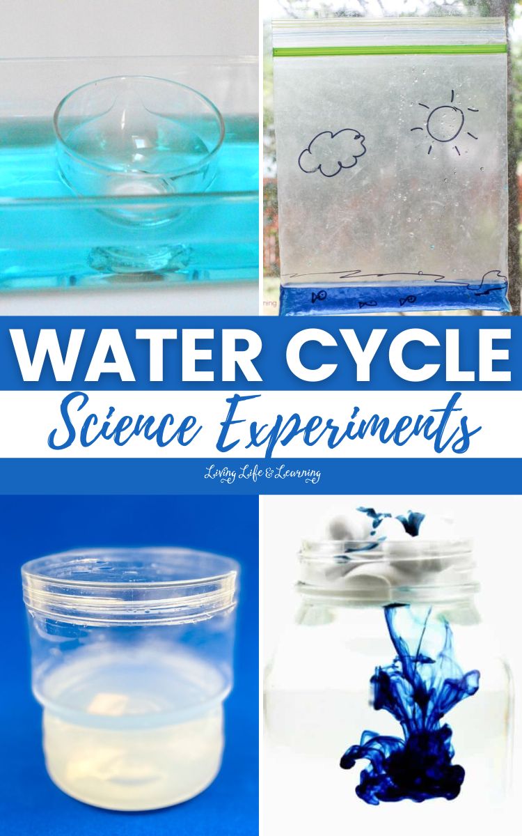 Water Cycle Science Experiments