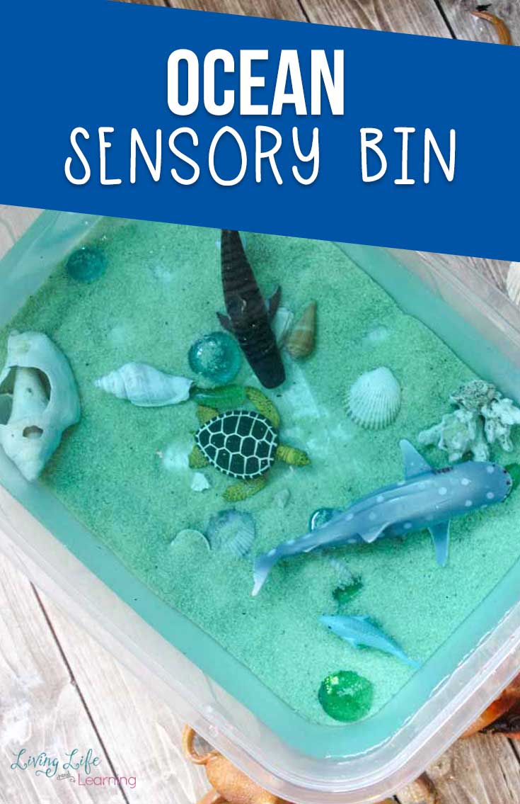 Ocean Sensory Bin Activity for Kids