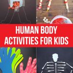 Fun human body activities for kids