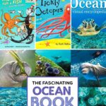 Ocean Books for Elementary Students