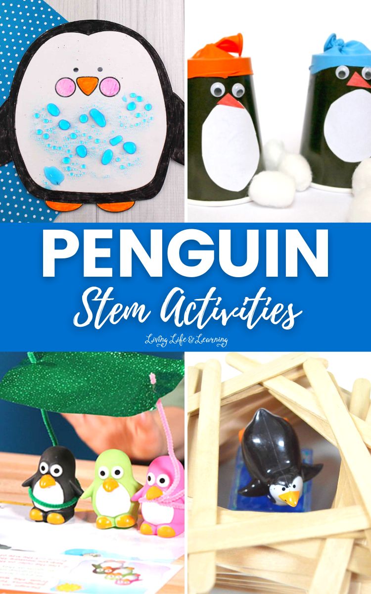 Penguin Stem Activities