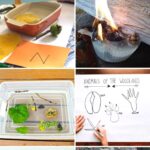 A collage of Camping STEM Activities