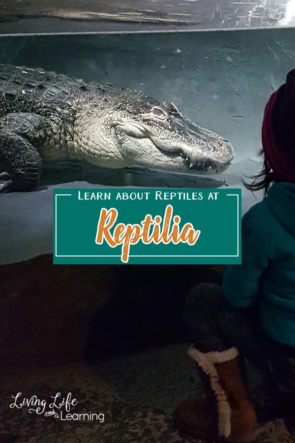 Learn About Reptiles at Reptilia