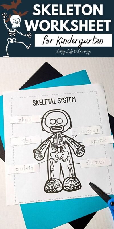 Skeleton Worksheet for Kindergarten