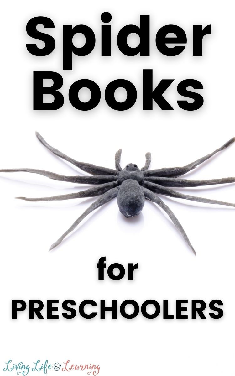 Best Spider Books for Preschoolers
