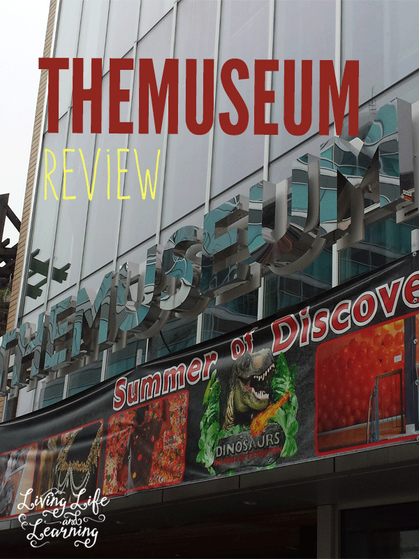 THEMUSEUM Review